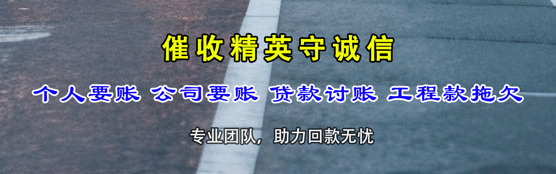 丰城清债公司